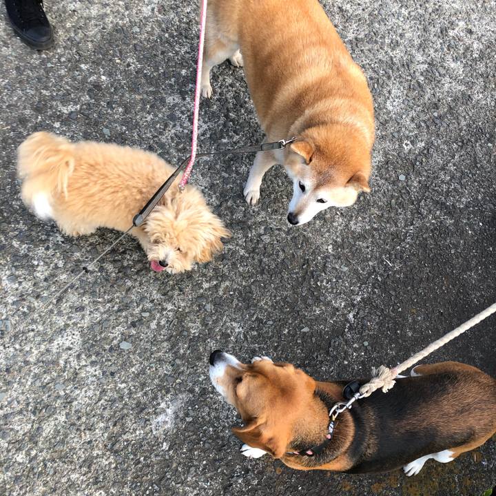 Ee631a56 1359 46f6 b514 c9e56b586363 1591346336901