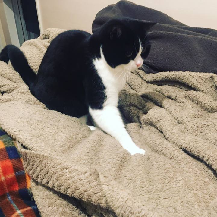 Ee632d53 cc62 40f6 a2f0 e5e45615c7d5 1580511008847