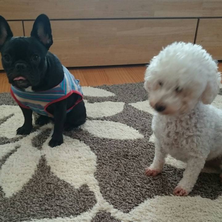 Ee637031 9f17 4c7f a61a b7b2314218d8 1508285706269