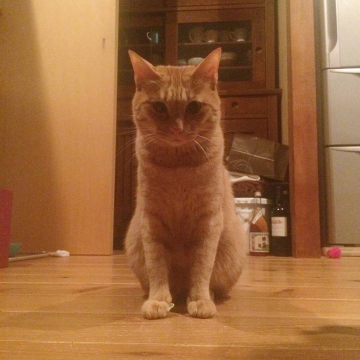 Ee63830e 4206 4bf8 a432 a3ceee2fe3fe 1515584384709