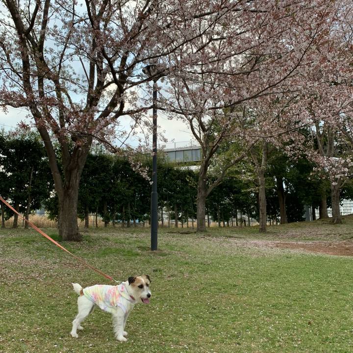 Ee63923b 42da 4849 95f5 b44a5353ba29 1680444339851