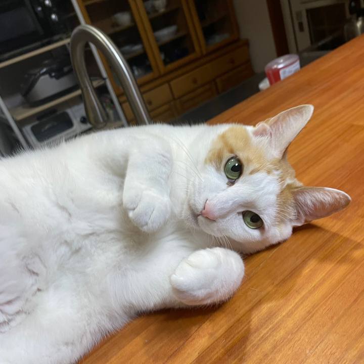 Ee63a496 f14d 4caf bcd2 ea34d54fd36d 1644418029770