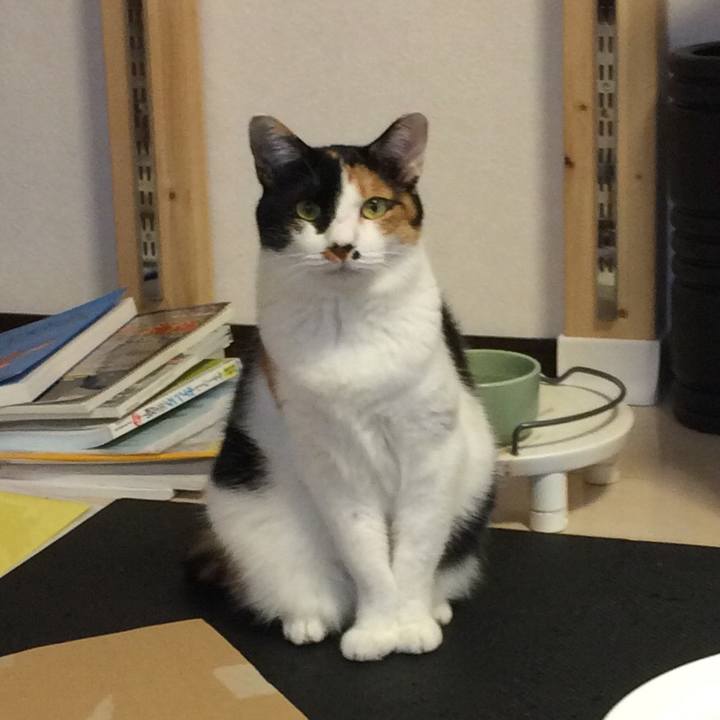 Ee63e02b d209 400a b364 d2417b8a9dea 1587992683659