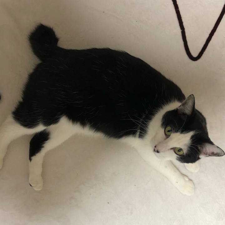 Ee63f8ab 0d24 4728 b321 0c04478c8d69 1549197649219