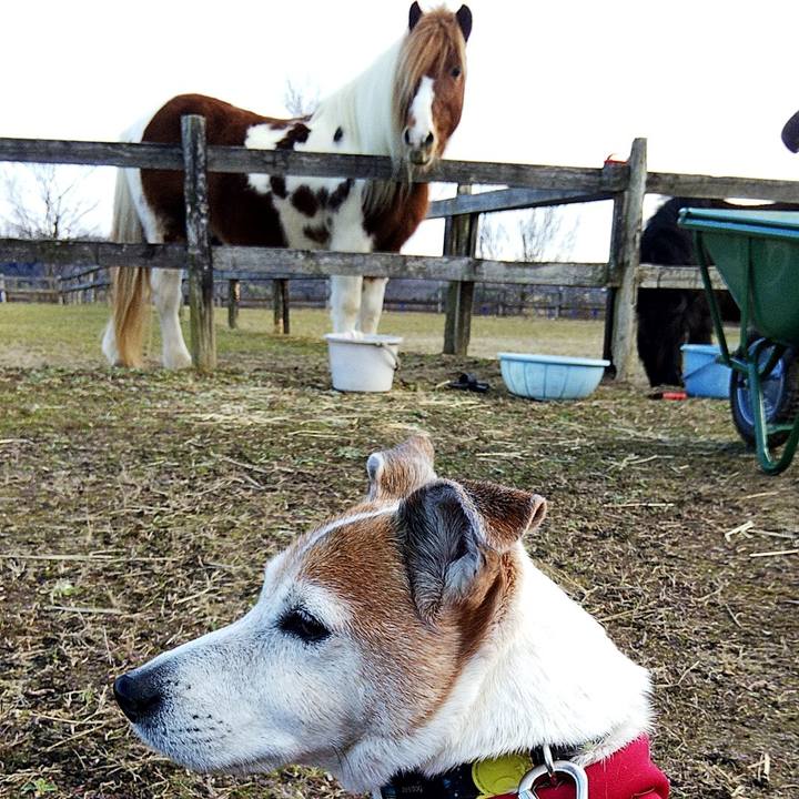 Ee647662 26c9 47b2 997f 8cc832914481 1578904965207