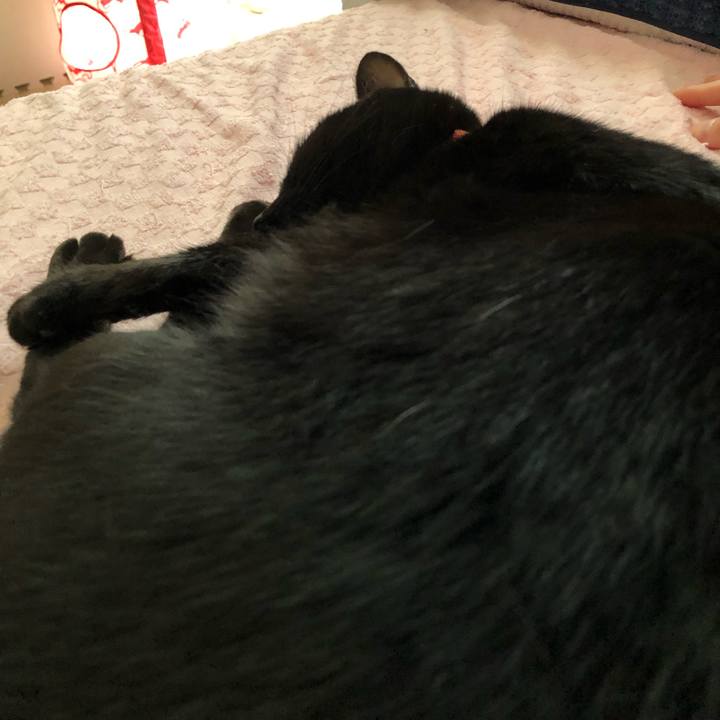 Ee6492ee a847 4084 bccf 2b214e7c76d8 1568850401506