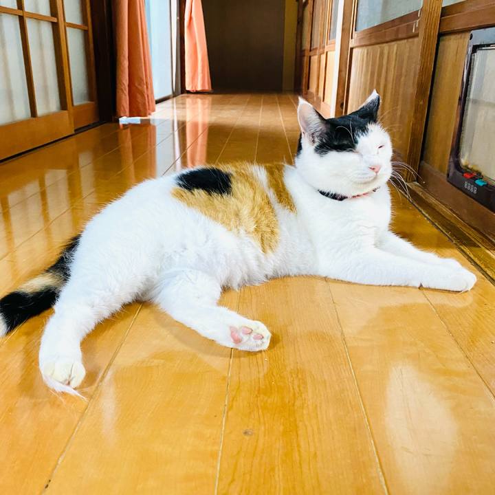 Ee64adb8 9819 439d 8750 1e76d9b83646 1694348277711