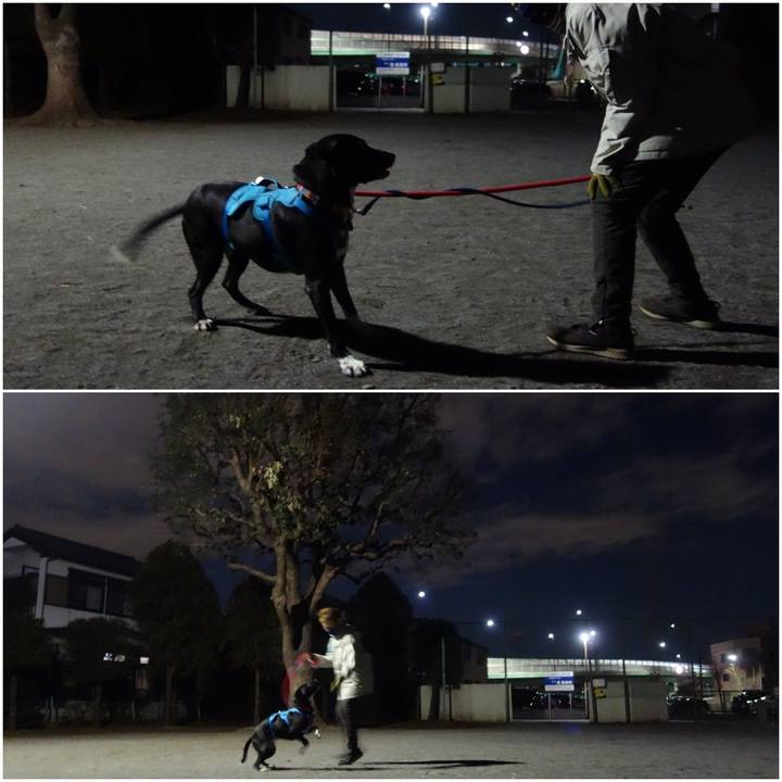 Ee6503a1 4432 4d24 8db2 5ce313b77545 1612348196984