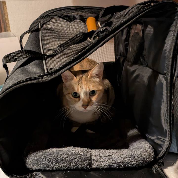 Ee651df2 9158 4c41 979d 502c100a75a0 1764354980226