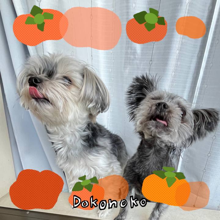 Ee6520cb f807 4327 af23 a8af26f53ade 1761172470211