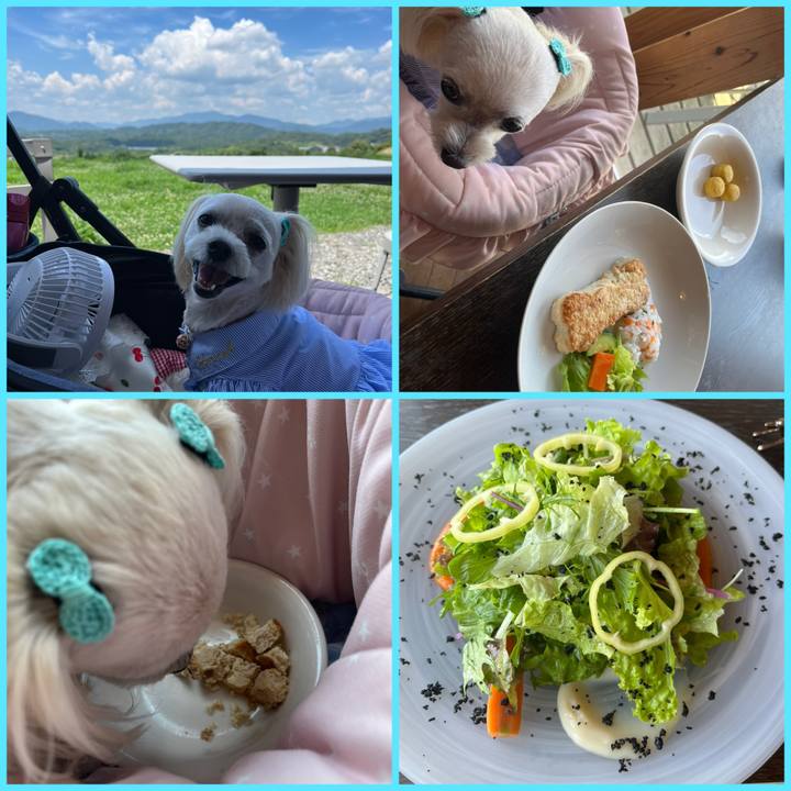 Ee654f13 8b0b 4dc1 bac8 e32e0cf5b254 1690357394144