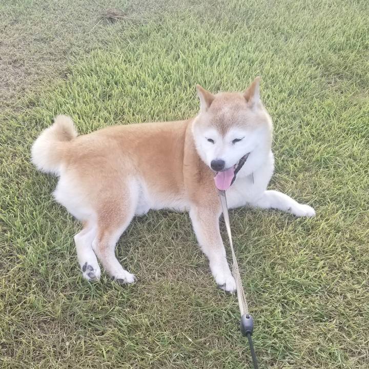 Ee6557fa a9fe 4158 b9d6 7fe429bf215b 1692775632786