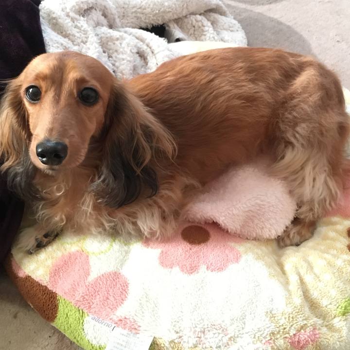 Ee65784b cf02 4f31 a714 d15bdc6a7a00 1510917383216