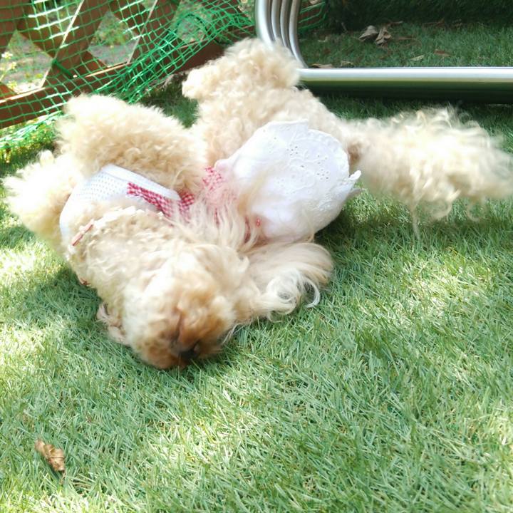 Ee6596ce 9879 4409 9330 94fad4e5d421 1524141216535