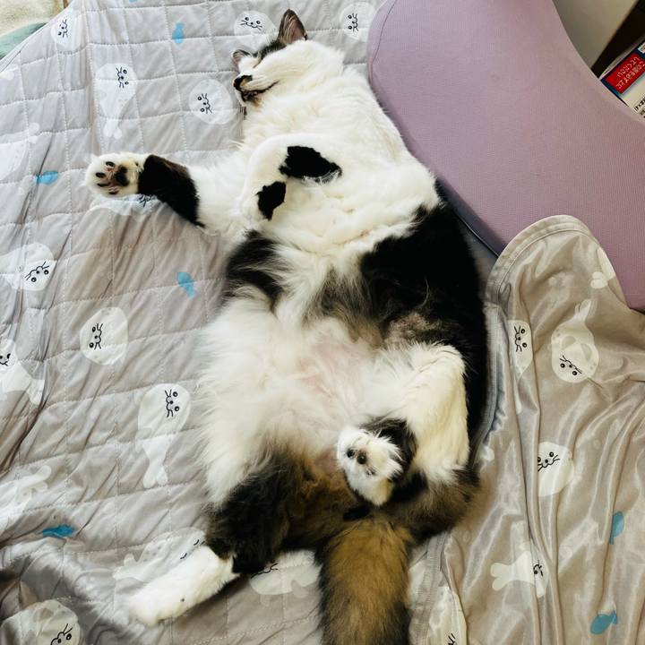 Ee65c5a9 c6e9 413a 9a50 6f368f2ab803 1733020947729