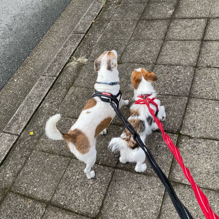 Ee662874 7f2d 46be 8a3c c41bc1b05eea 1629596097313