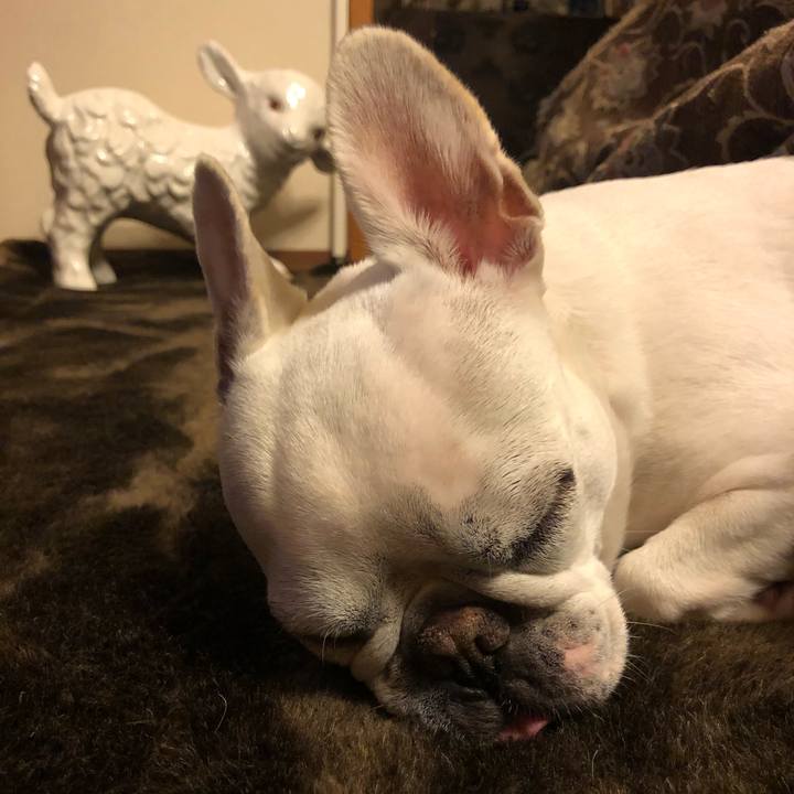 Ee66334b 491e 4021 a35d e7bf30622736 1585647751729