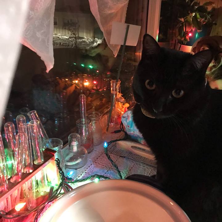 Ee666cfc 3267 47af 9ef6 49e215d85682 1640340737754