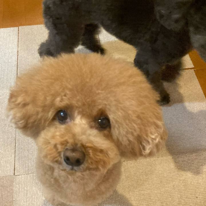 Ee66dba8 fd4a 4df0 93e2 282b2fe700b3 1645921632266