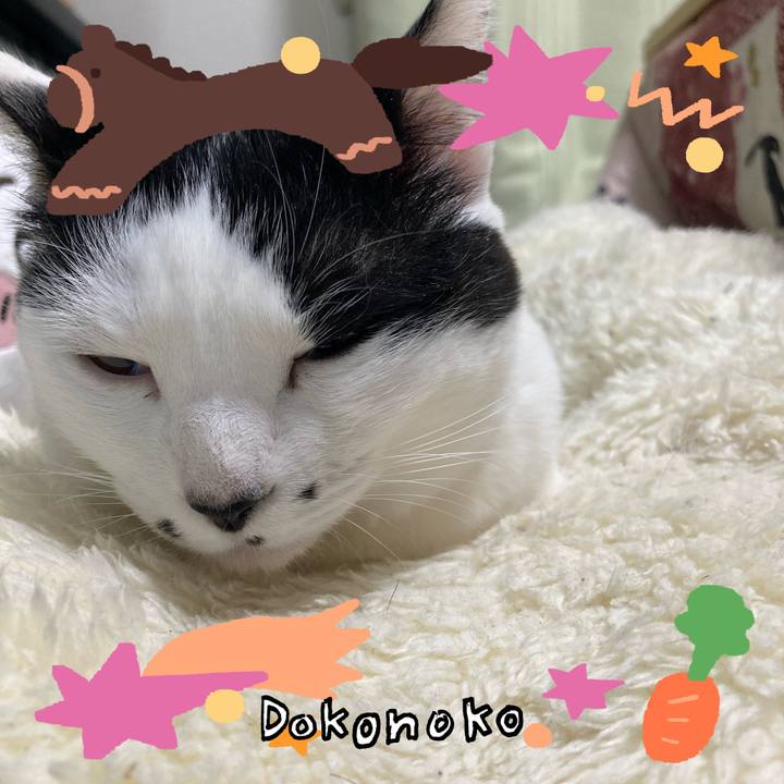 Ee6720a5 e616 43f8 8730 825c681bad08 1772023517142