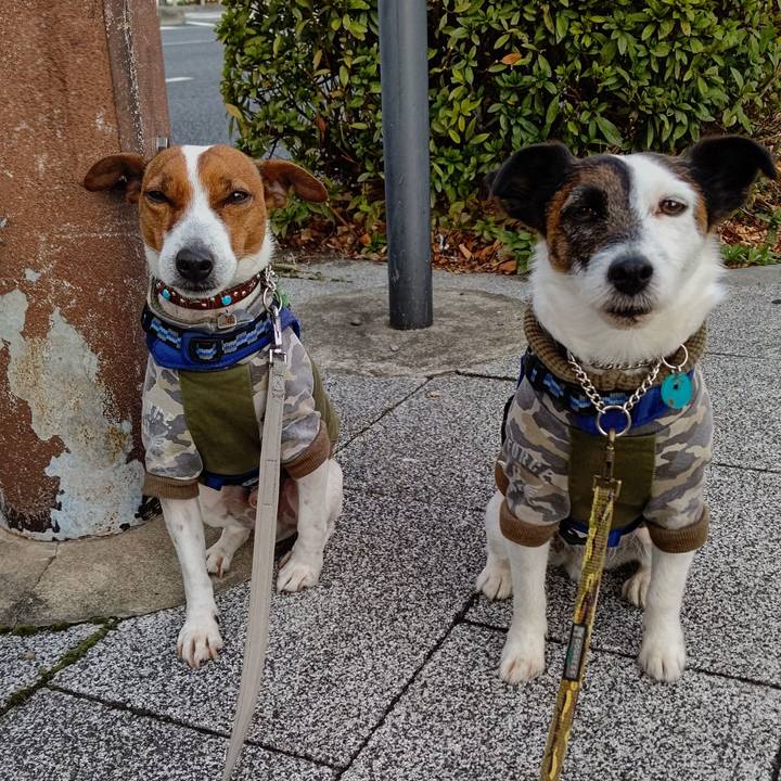 Ee67bdb1 ed19 4de7 945c 3ca09945aca9 1646346458980