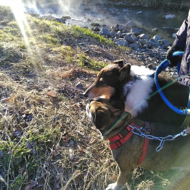 Ee682511 b18e 4f7d 9b05 46f50aaa47b5 1515064814825