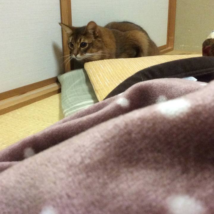 Ee68277a 3b95 4849 bb9e 8b8969eab9c3 1611189573531