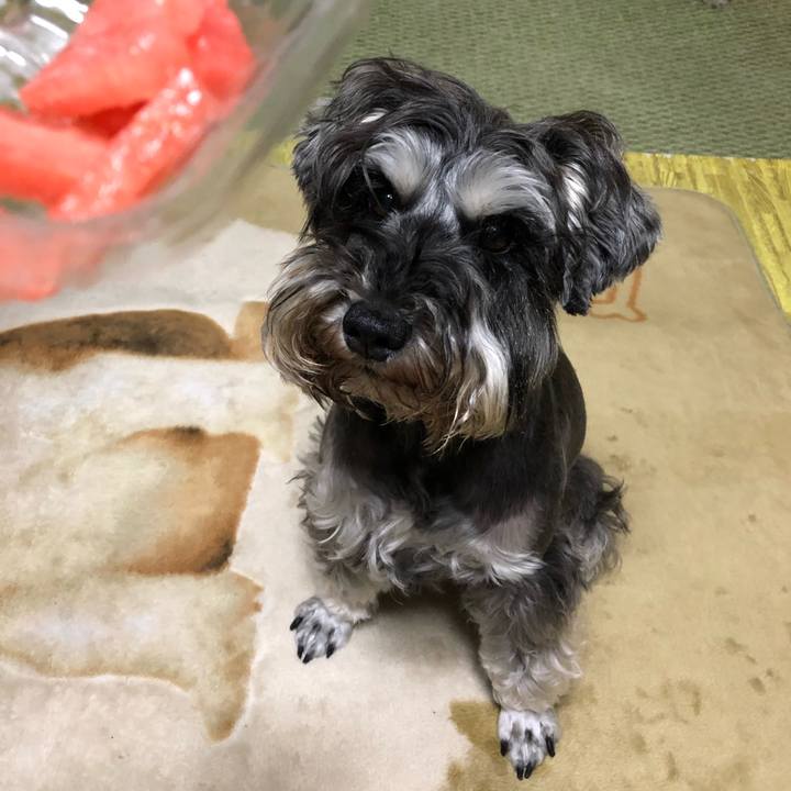 Ee682c7d d8c1 48c7 ba2f b49eb03319a6 1561622057823