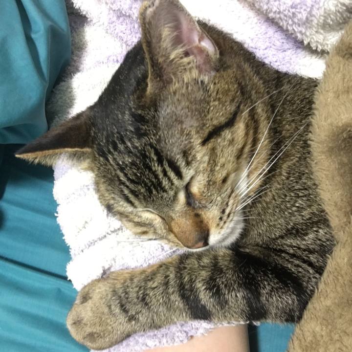 Ee686914 8969 4703 8d59 93d94d01a44b 1521346802520