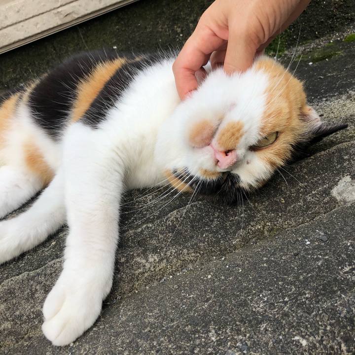 Ee6870be 47ae 4b09 b8aa 4f398120e2b0 1563437106143