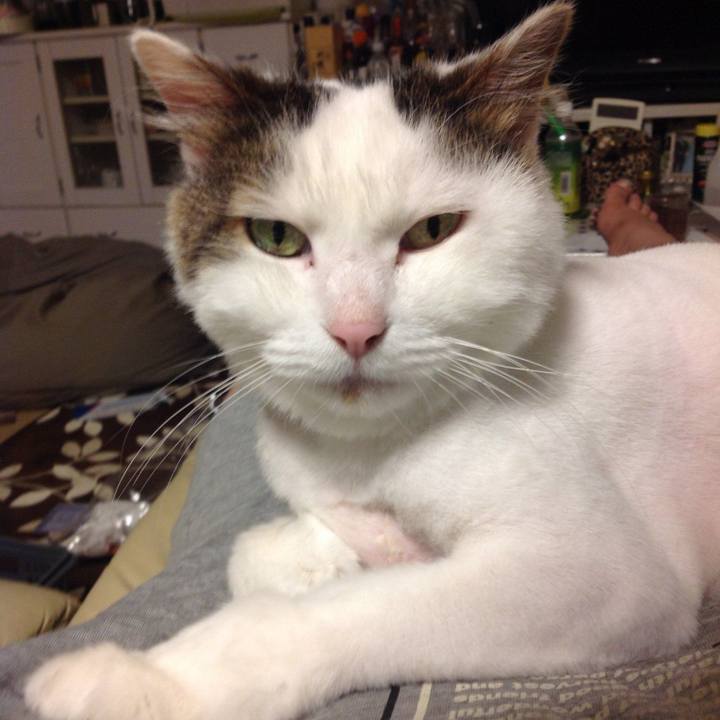 Ee687379 3a0b 4e31 9060 e205213b87c8 1620527645433