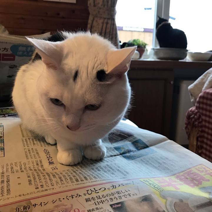 Ee6889a8 9602 40f7 bd4c 6d19d069ea47 1638572043354