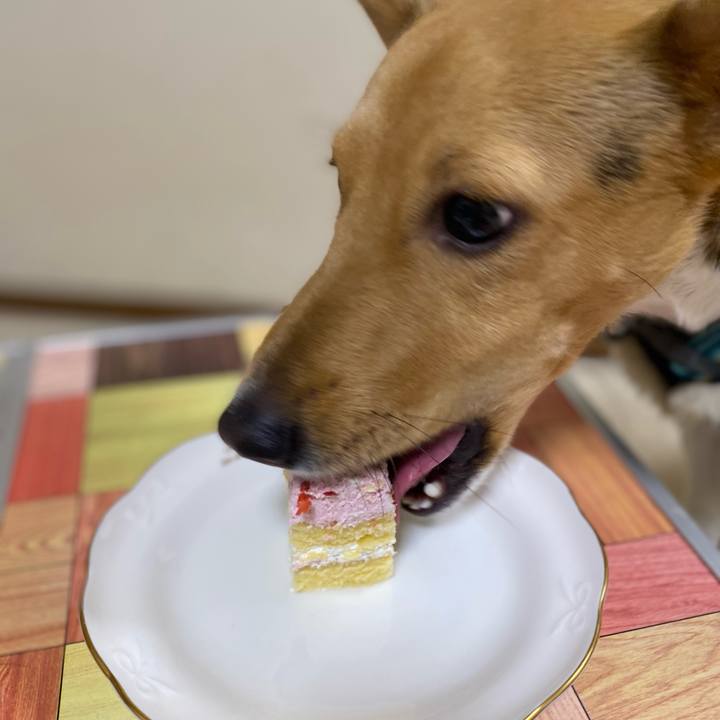 Ee68947e 9bc7 4860 a1a6 40f073081900 1766406252608