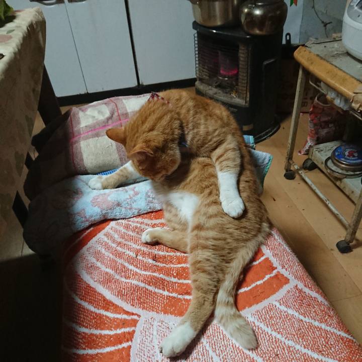 Ee68d2d5 f7b8 49e2 ab6c 07fee15393a3 1605000457735