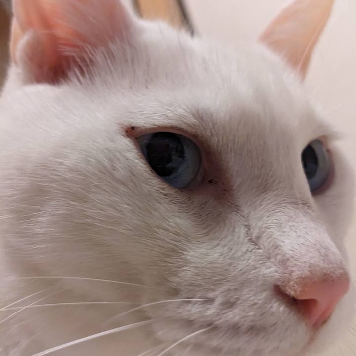 Ee68ebcd c107 42e6 b659 13964af88129 1689120818544