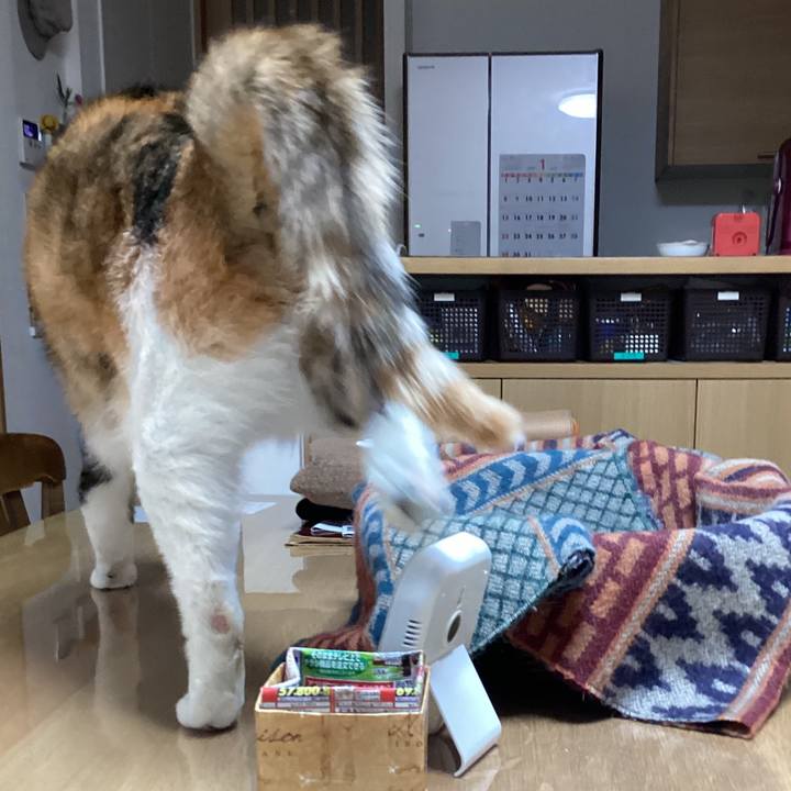 Ee697539 8e8c 4ac7 ab04 64b0b99365aa 1674522587832