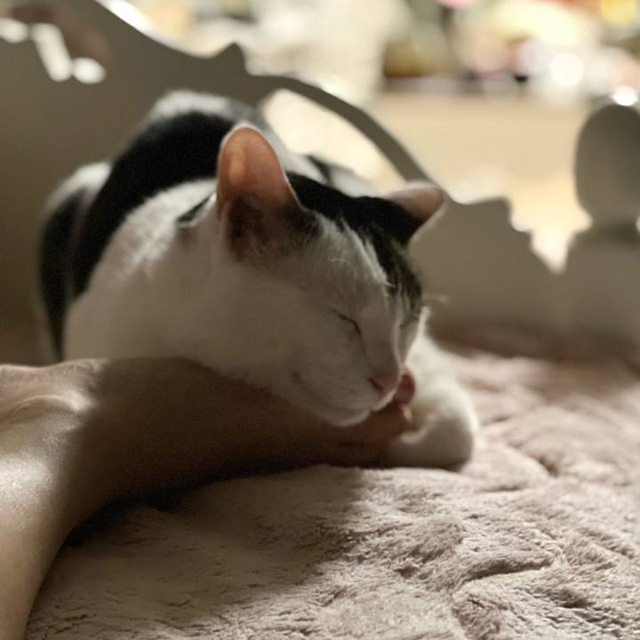 Ee69acca c9c1 46c0 801f 7cf3d507f29e 1684647653615