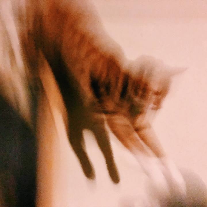 Ee69bfaa d8c7 40c2 95f1 5a15b3869990 1524064618558