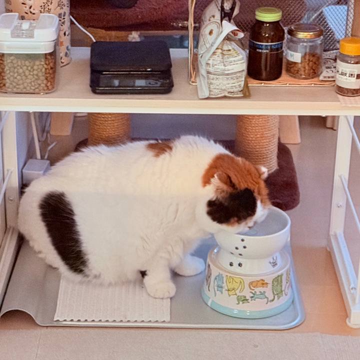 Ee69dc5e 0d5c 4322 8182 890fe2606646 1751933942229