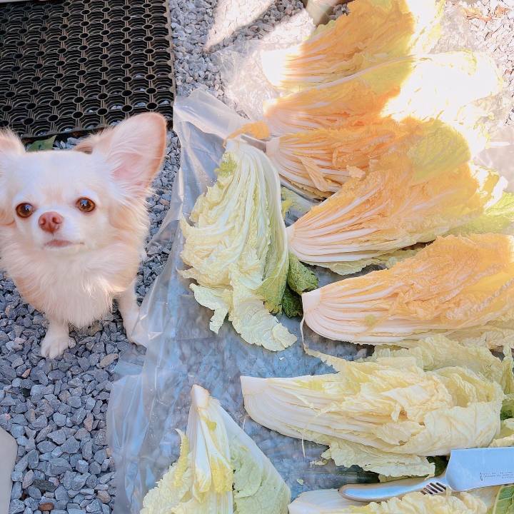 Ee6a0024 fcd0 4b00 8d7f ab466143c6d8 1668662861764