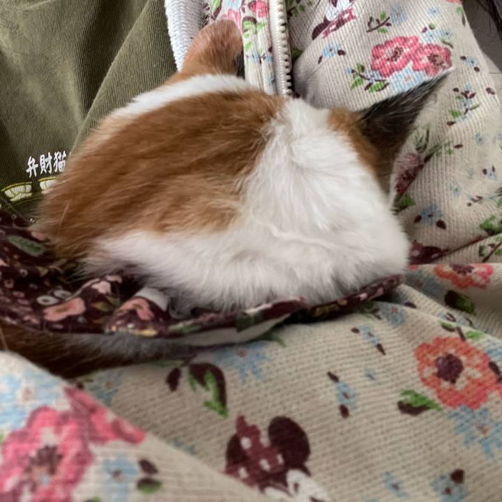 Ee6a0143 1637 4752 abc3 d70d724de6de 1732160076631