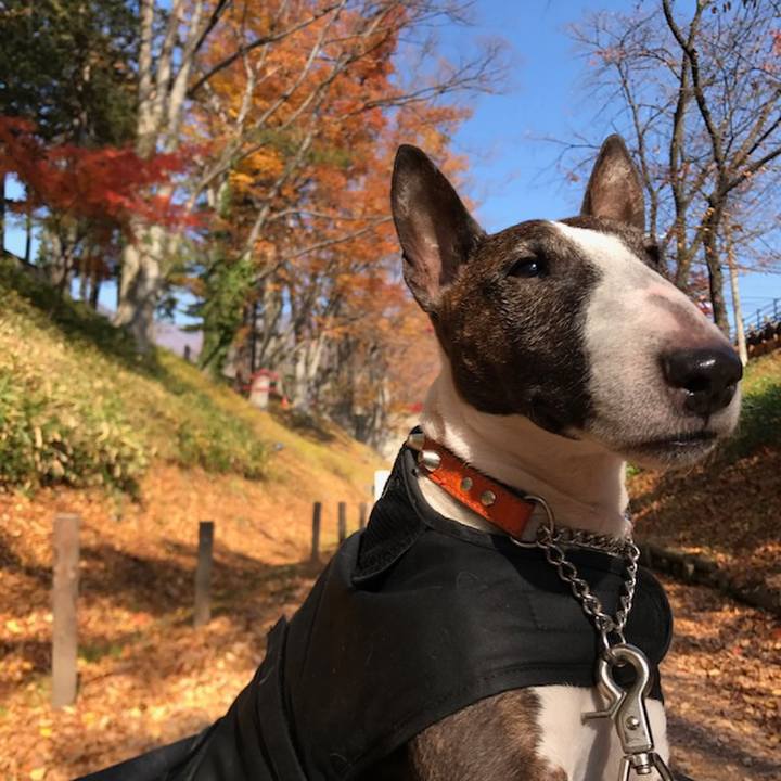 Ee6a070f 9db7 4a6f 858b 461e6dcafc6f 1510905807896