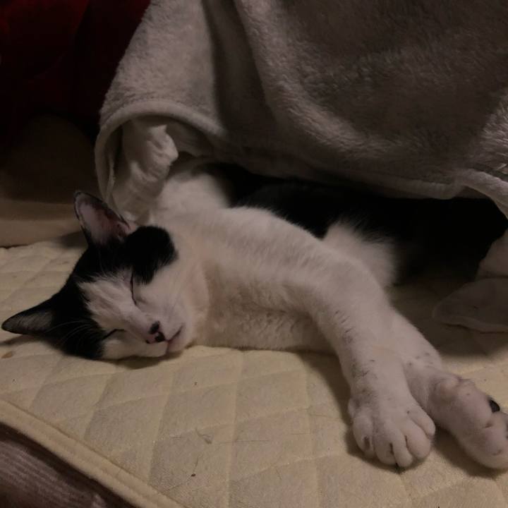 Ee6a199c b7f5 43ff b98b 78c487879264 1581961422685