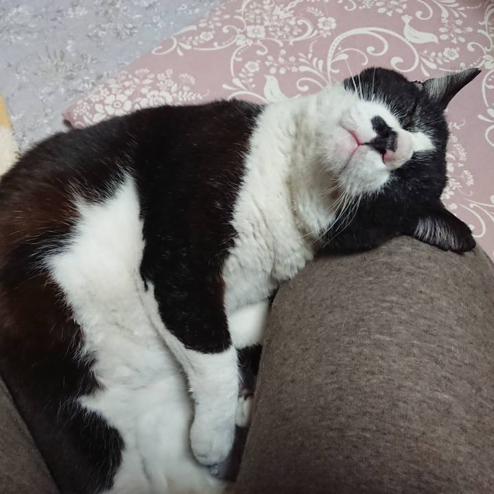 Ee6a24fe 0fa1 413b 820e e9daffd9a0c2 1619352540298