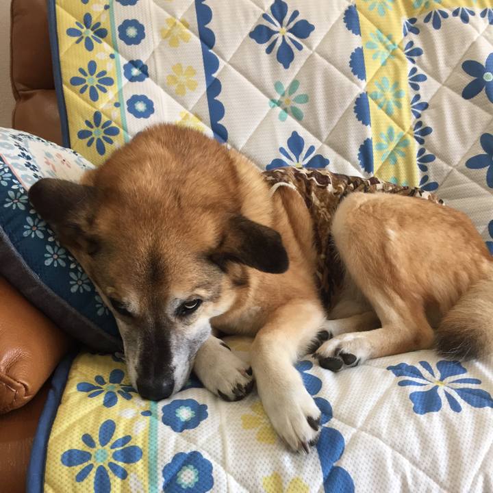 Ee6a2639 1016 4743 a148 8fe2ebcedf71 1587778754312