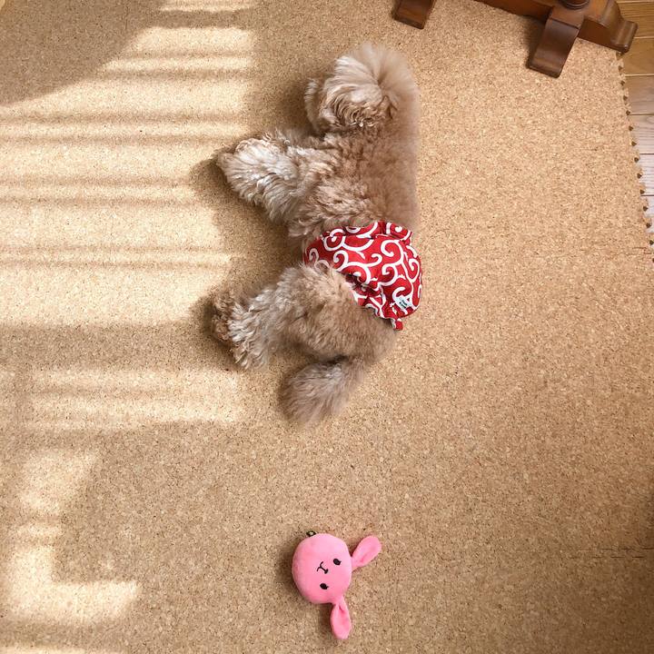 Ee6a26e0 22e2 49d7 989e f55e24d6ee1b 1543998519134