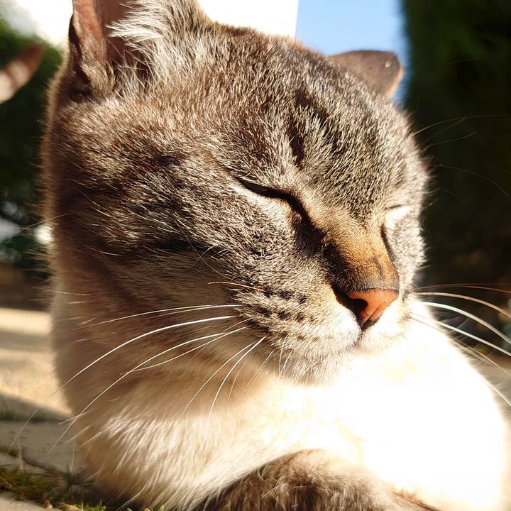 Ee6a35c8 54dc 420e a034 fe79dd090dc0 1649405144270