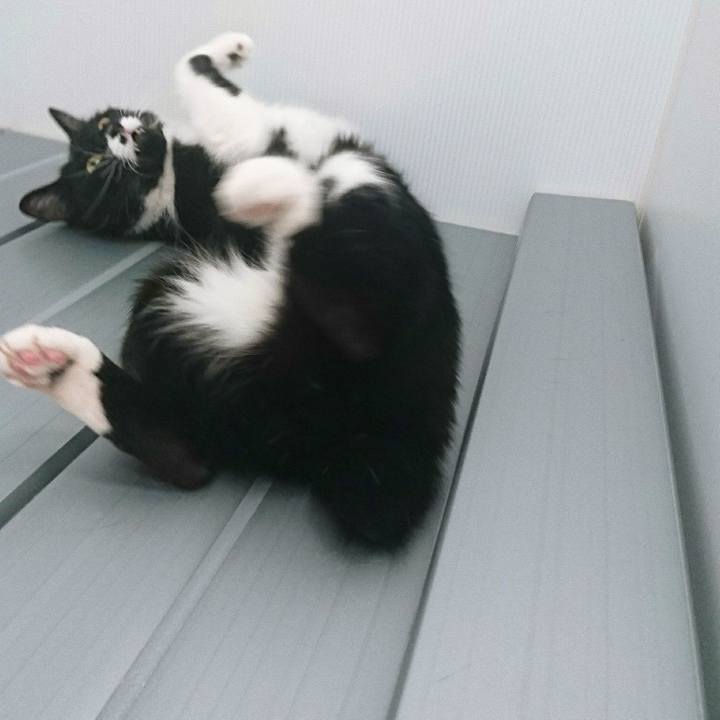 Ee6a57a5 bda0 4bed 8464 85eb917a5411 1528901065022