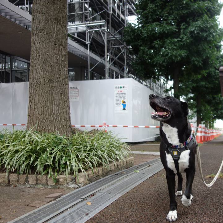 Ee6a6d6a d4a6 4228 a53a 284228edb808 1661125389091