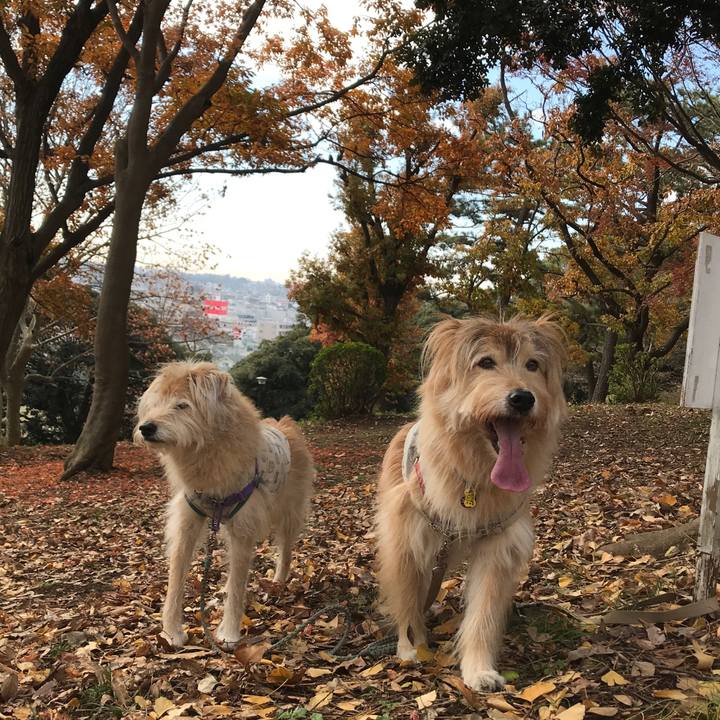 Ee6a8c62 9c24 443d bcae 3f7c66584160 1576641438573